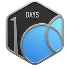 100 Days Badge