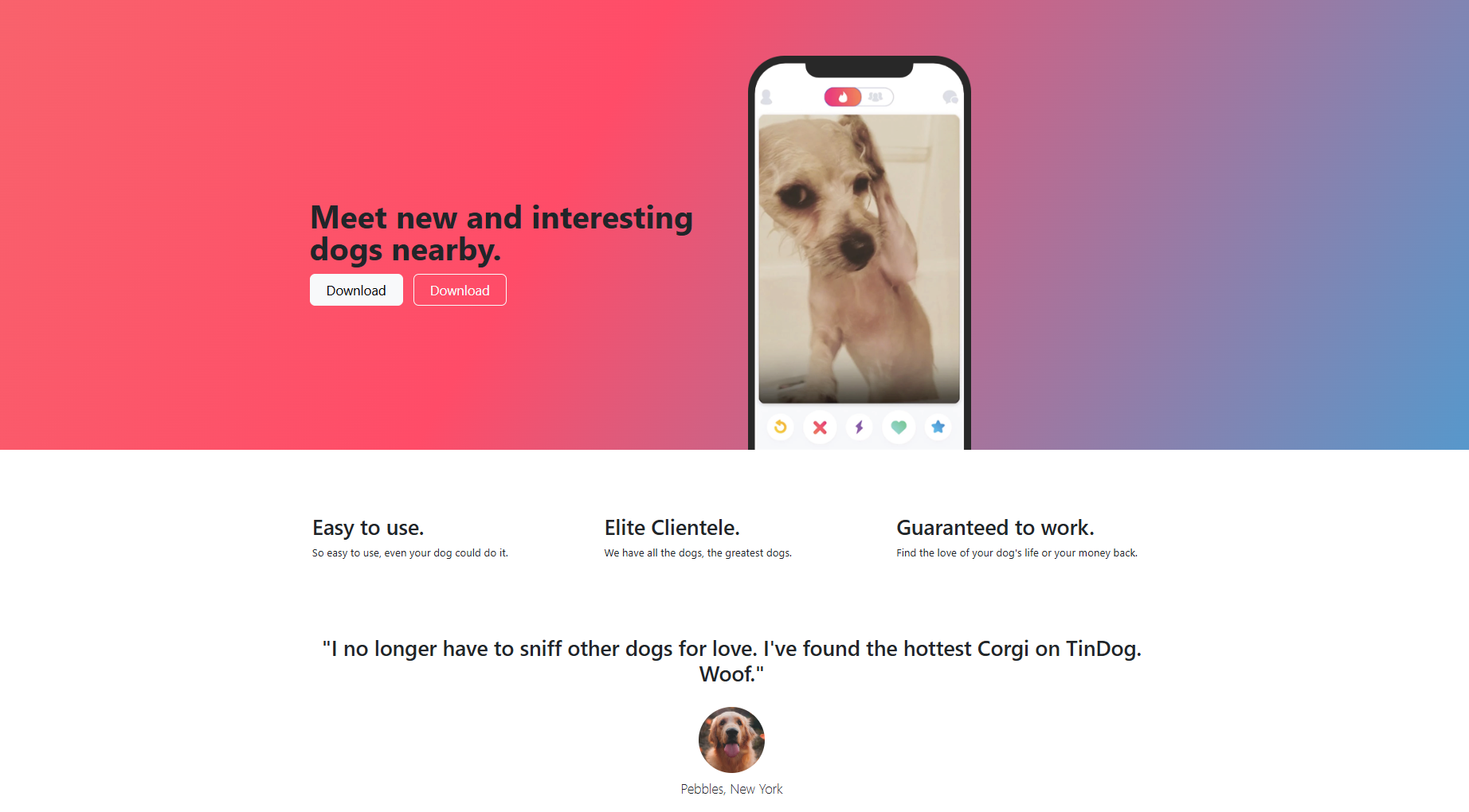 Tiny Dog Website