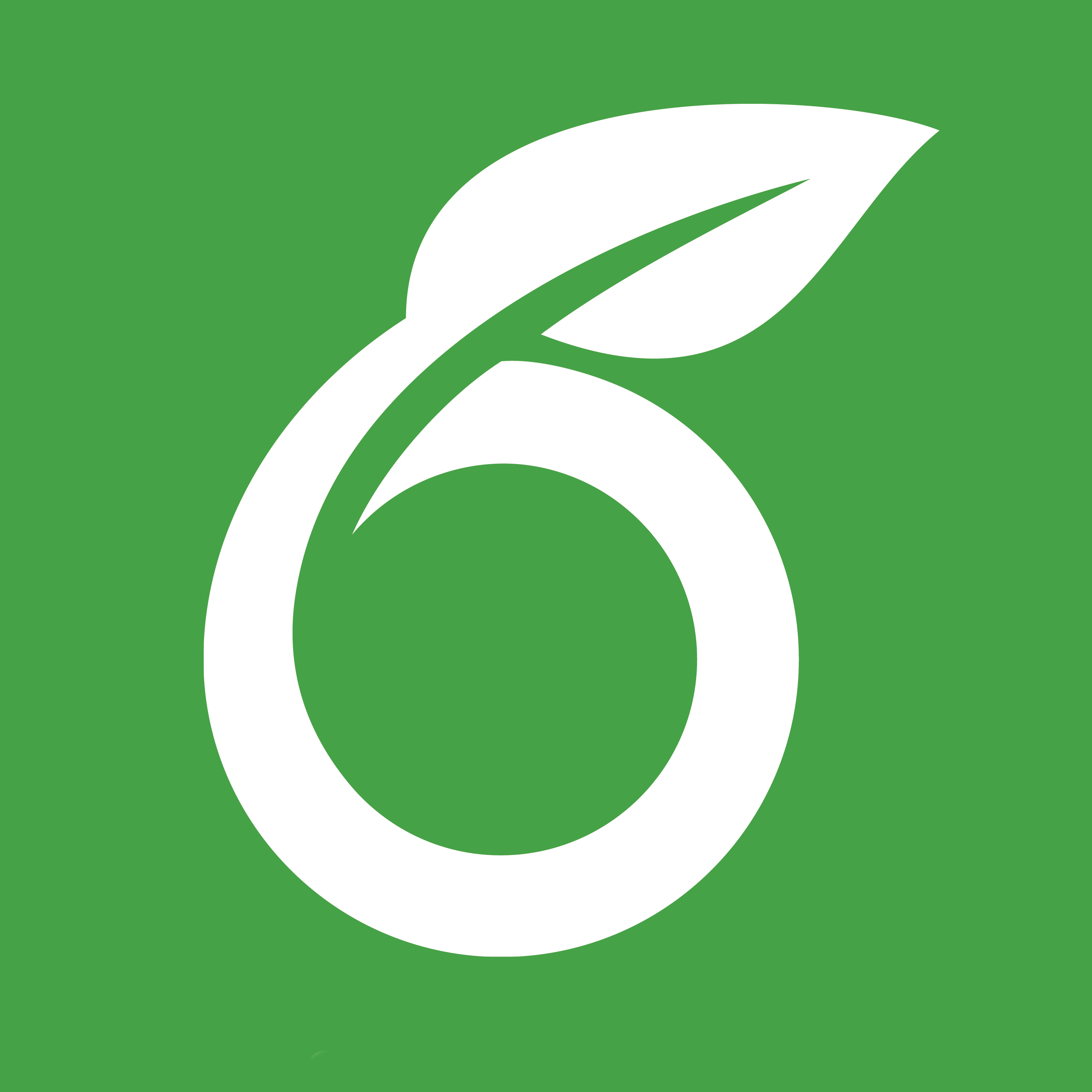 Overleaf